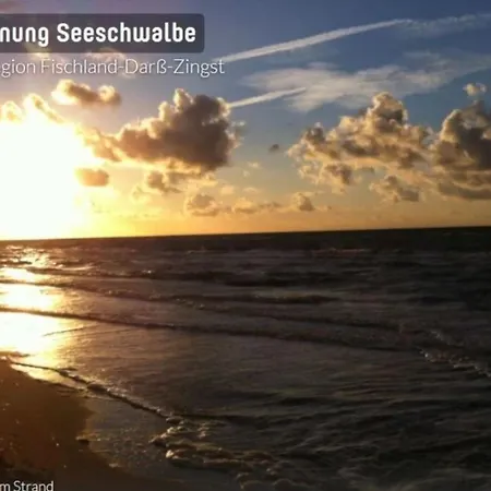 דירה Seeschwalbe App 34